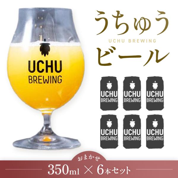 うちゅうビール 350ml 飲み比べ 6本セット お任せ 厳選 クラフトビール