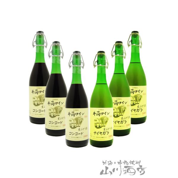 ハロウィン 2026 ギフト 日本ワイン 新酒 井筒 生にごりワイン 赤白 720ml 6本セット 長野県 井筒ワイン 要冷蔵 まとめ買い