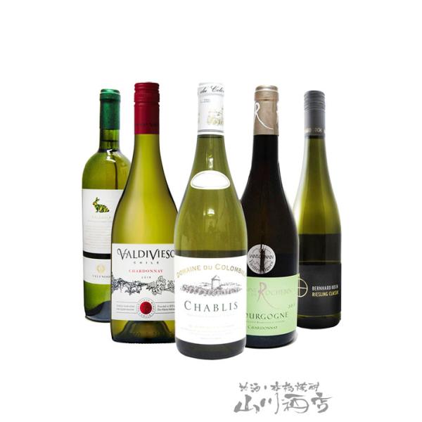 厳選白ワインセット 750ml×5本 フランス・イタリア・ドイツ 厳選白ワインセット 750ml×5本 フランス・イタリア・ドイツ