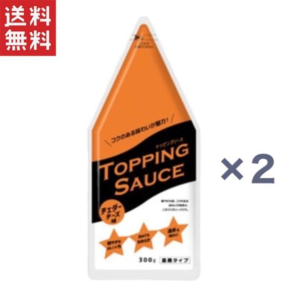 ニップン トッピングソース チェダーチーズ味 300g 業務タイプ nippn チーズソース 常温便