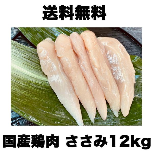 Y{  12kg ①