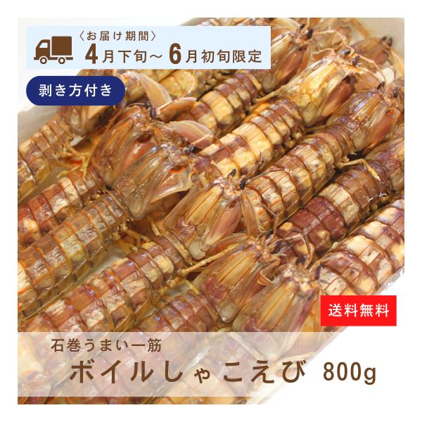 ボイルしゃこえび　800g