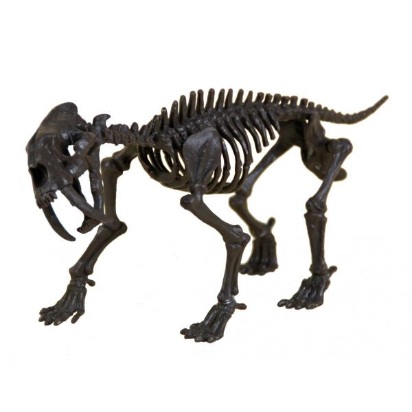 恐竜発掘セット☆氷河期☆サーベルタイガー☆骨を掘って組立てよう