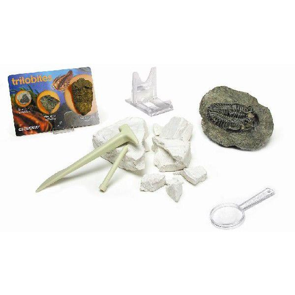 三葉虫化石セット 三葉虫化石Adrisiops