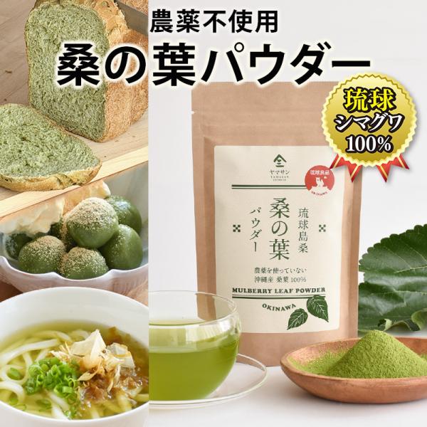 沖縄産 桑の葉パウダー（100g）| 国産 沖縄県産 シマグワ 春芽 農薬不使用 無添加 DNJ 豊富 微粉末 ブランチング 桑パウダー 糖質対策 青汁 桑の葉100％パウダー