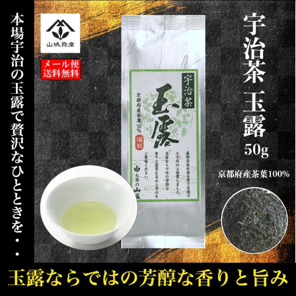 送料無料 玉露 宇治茶 京都府産 宇治玉露 50g 山城物産 :ujigyokuro50g:山城物産ストア 通販 