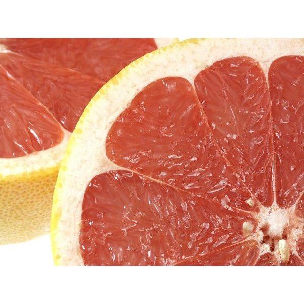 グレープフルーツ ルビー 12個 箱入り 送料無料（北海道、沖縄県