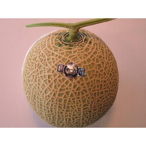 IÉY A[}  P @kCA͑1000~ZĂ܂B