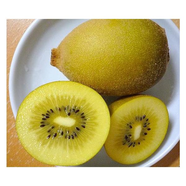 S[f LEC t[c 1@ʏiłBŉZĂ܂B