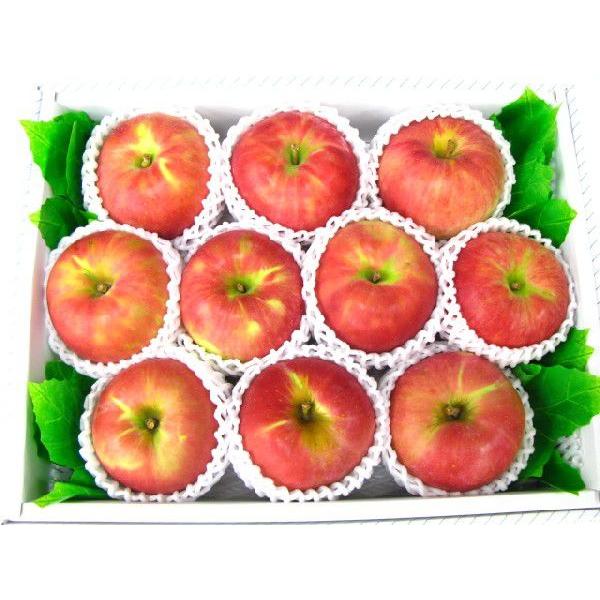 りんご様　10日 りんご様 10日 pd_07cd81f01951727c683465b4495