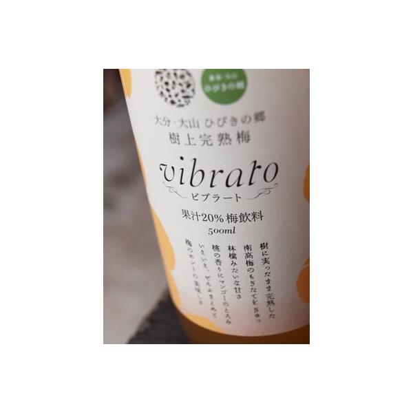 ㊮n~ ru[g(vibrato) 500ml×12{ ʏ`20% `m`S @j[̗p