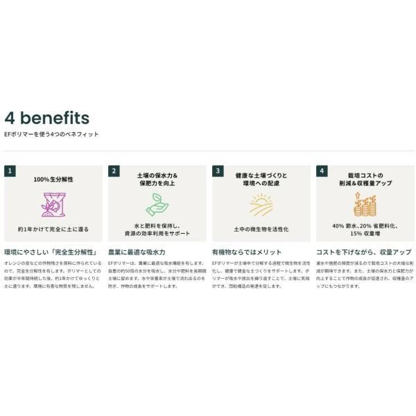 yamasho007_ef2024_3_d_20240424102405