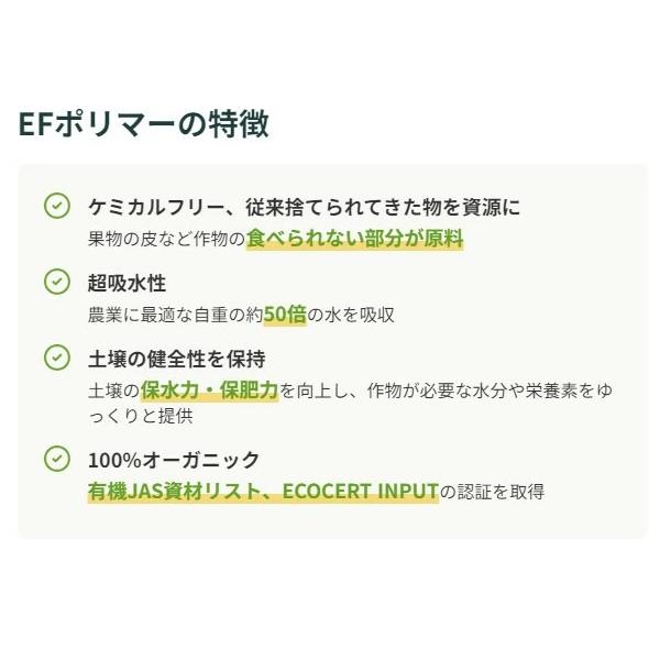 yamasho007_ef2024_4_d_20240424102454