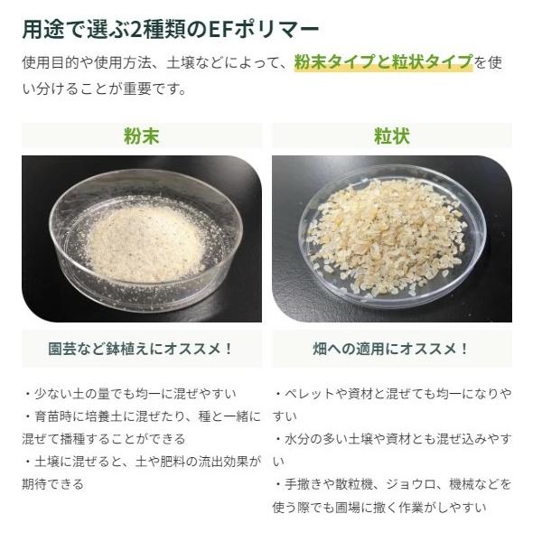 yamasho007_ef2024_5_d_20240424102458