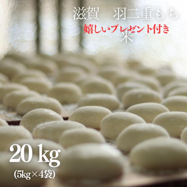 令和5年産滋賀羽二重もち玄米20キロ