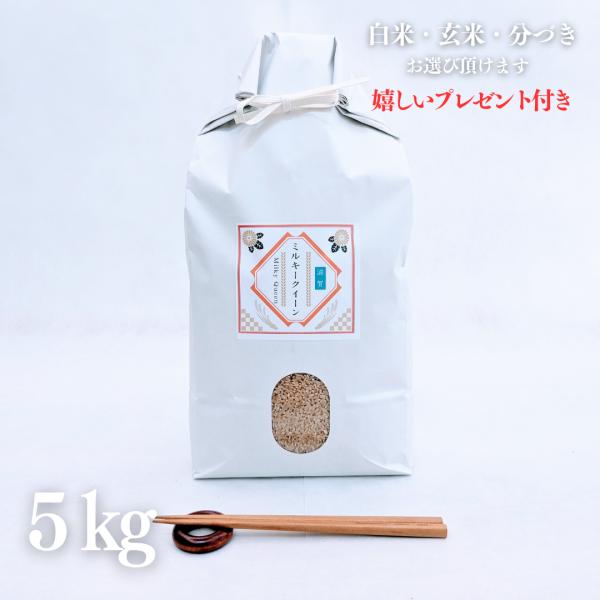 ミルキークイーン 新米 お米 5kg 滋賀県 玄米 5kg×1袋 令和7年産 精米