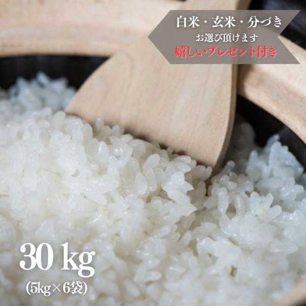 高知県産 新米 玄米30kg 精米込み ※高知市内配達分