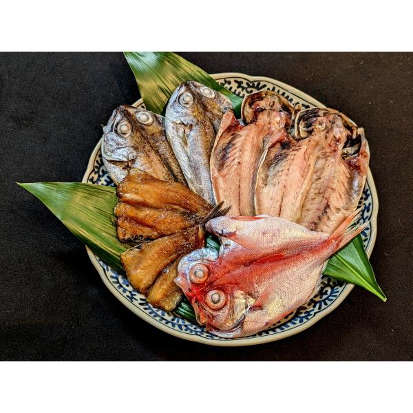 蒲郡の旨い干物【渚セット】2〜3人前　愛知　蒲郡　