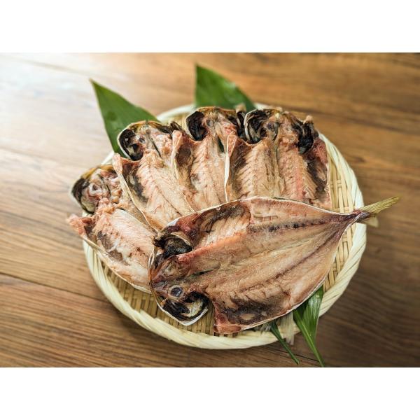 [Release date: May 15, 2020]脂のよく乗った真アジの開きです。１枚あたり約110ｇサイズで頭から尾の先まで約22ｃｍ冷凍庫（-18℃）で約２か月保存可能です。韓国水揚げ　沼津加工