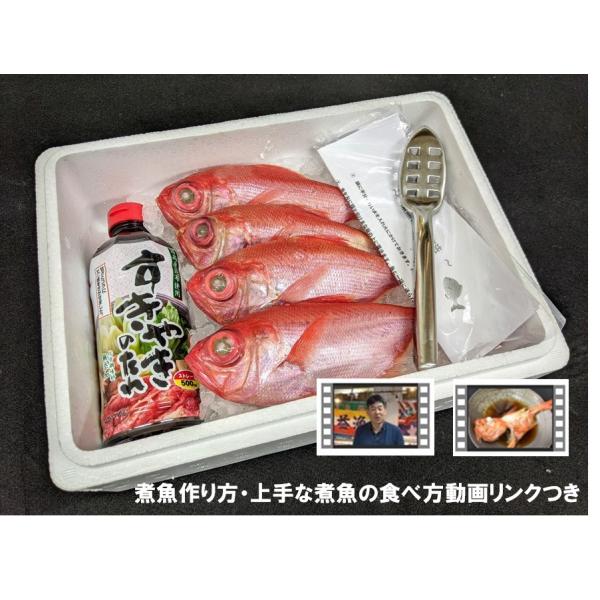 動画を見ながら上手に作って 上手に食べちゃおう 煮魚キット 動画リンク付き 上手な煮魚の食べ方動画付き S 031 味のヤマスイ 山本水産 ヤフー店 通販 Yahoo ショッピング