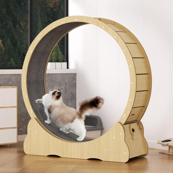 キャットホイール 80cm キャットトレッドミル (3/16までキャンペーン中) 猫 トレッドミル キャット ホイール 安い ローラー ルーム