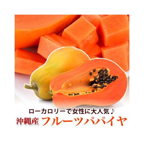送料無料 フルーツパパイヤ 沖縄 スーパーフード1.8kg前後(2-3個入) 国産 沖縄産(ギフト 贈り物 パパイヤ フルーツ トロピカル)
