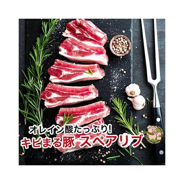 スペアリブ 骨付き肉 国産 豚肉 キビまる豚 沖縄 200g 5袋