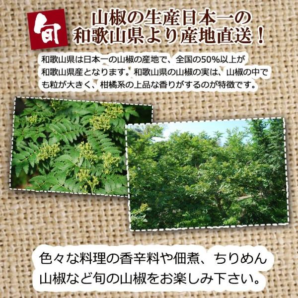 さんしょう ぶどう山椒 和歌山県産 生山椒 500g 送料無料 山椒の実 生産量日本一の和歌山県より産地直送 数量限定 青山椒 予約販売 Buyee Buyee Japanese Proxy Service Buy From Japan Bot Online