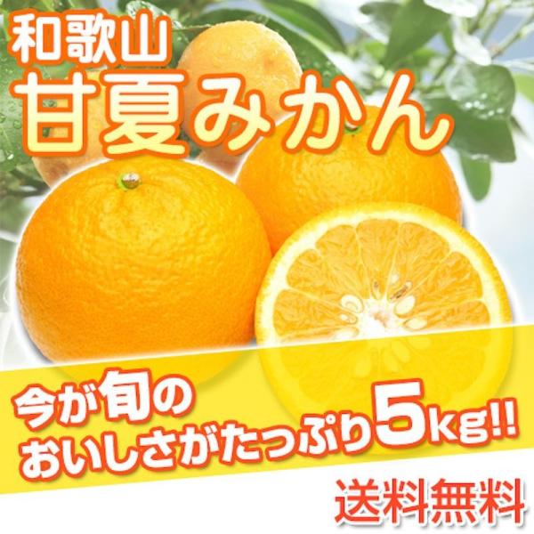 夏みかん様 確認用 温室小夏」【家庭用】（丸M）2.5kg｜日向夏｜ニューサマー
