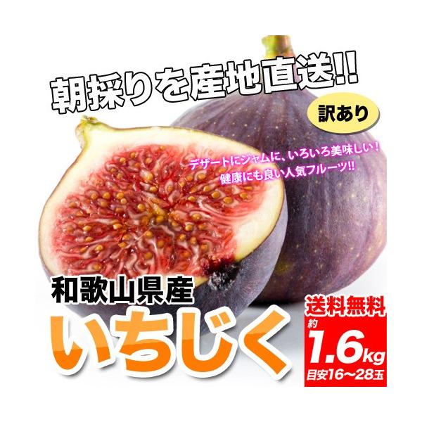 和歌山県産 訳ありいちじく1.6kg【400g×4パック】送料無料