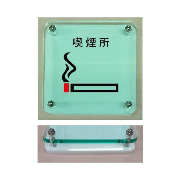 i@CXgv[g@KXFw@20cm̑傫Ȏv[g