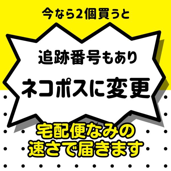 yamatohiroba_4909978103675_5_d_20251118175031