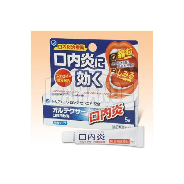 【第2類医薬品】オルテクサー口腔用軟膏　5g【送料無料】