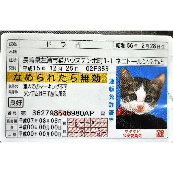 なめんなよ カードコレクション2 No 30 付 2 ポスト投函タイプ配送可 Buyee Buyee Japanese Proxy Service Buy From Japan Bot Online