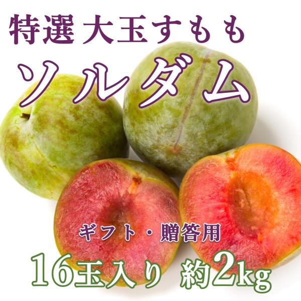 在庫処分大特価!!】 プラム すもも ソルダム 2.2㎏ zlote-arkady.pl