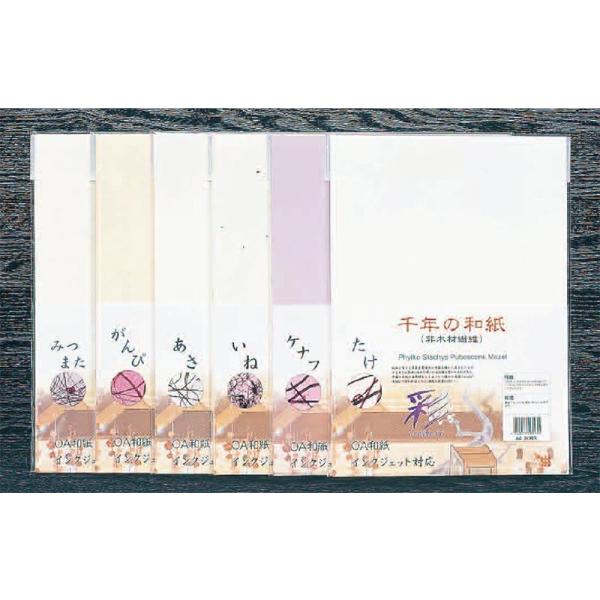 iEsۈ牀EwZpyъރv^[pauʁv݂܂A4E20×25