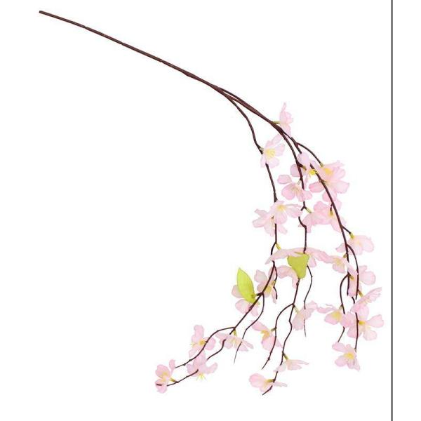 X܁ECxgpiGߕʃfBXvCt~jV_E24{Zbg