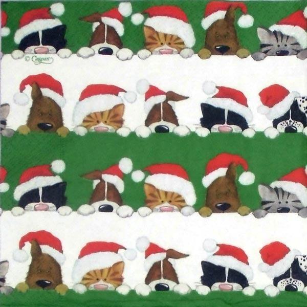 y[p[itL@xmasEj Chistmas