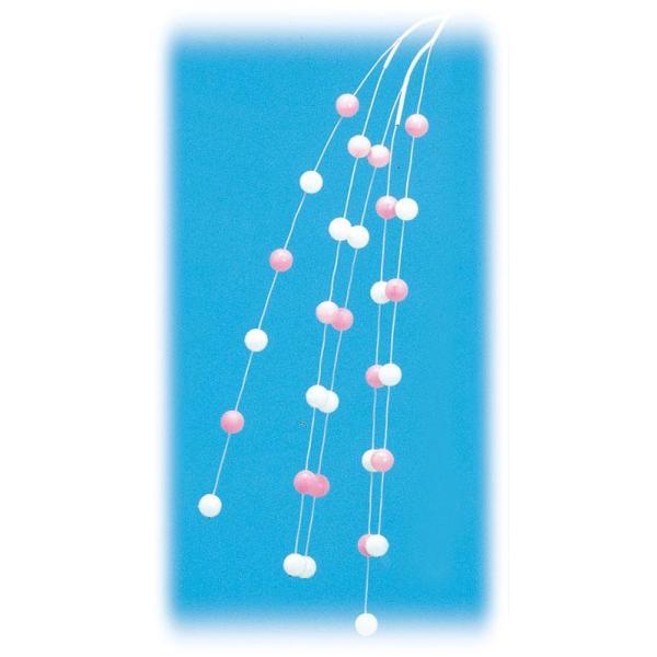 X܁ECxgpipiԁEAWV_݉10{Zbg