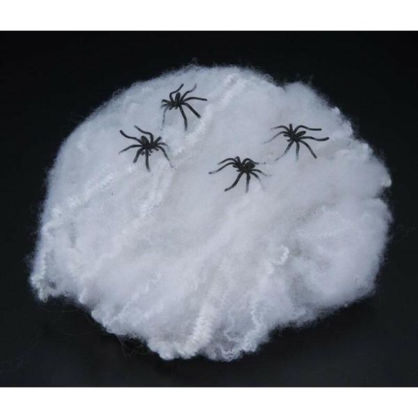 X܁ECxgpinEBXpC_[lbgfR[V