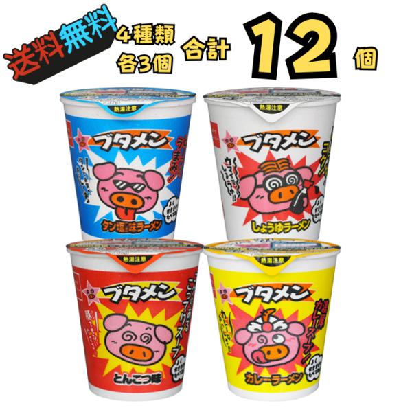 ブタメン 4種12食 詰め合わせセット とんこつ タン塩 しょうゆ カレー お試し 駄菓子 送料無料