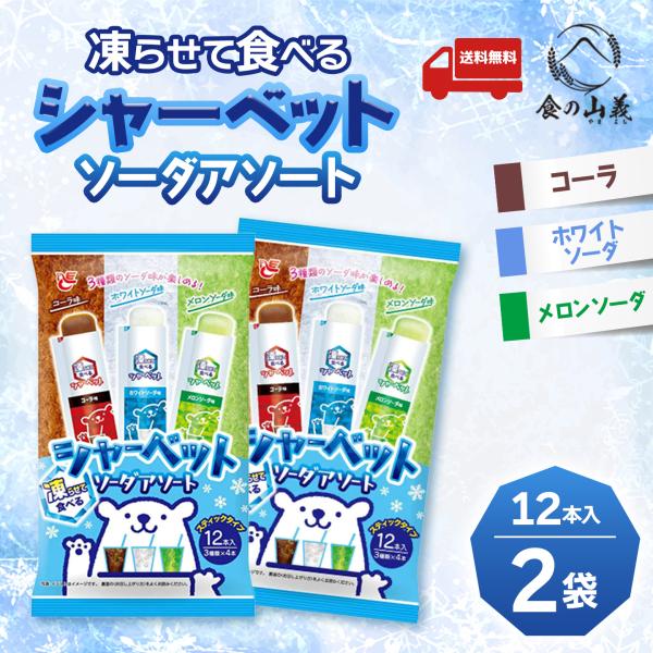 12本 凍らせて食べる スティックシャーベット ソーダアソート 2袋セット 送料無料