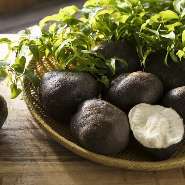 丹波篠山産の山の芋 優品 3kg箱(約6個〜9個入り)になります。取っ手付きの箱でお送りいたしますので届いてそのままお渡しすることができます。箱の中には乾燥を防ぐ為、おが屑もお入れしております。■内容量山の芋 優品 3kg(約6個〜9個)お...