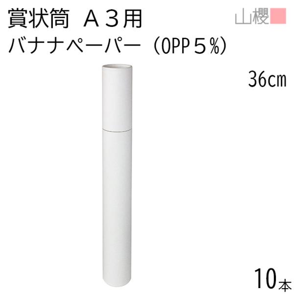 サイズ:直径 50×長さ 360 mmアフリカのザンビアで生産されるオーガニックバナナの茎から作られた「One Planet Paper(R)」を使用しています。生産地の環境・健康・経済を持続的に守る紙として注目を集めています。バナナの茎の...