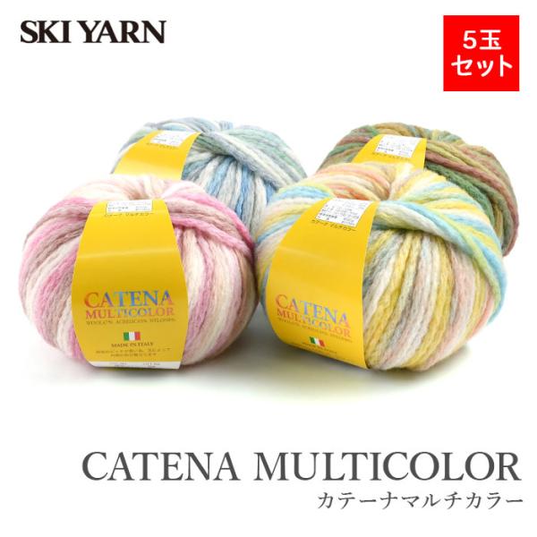毛糸 段染め ウール 5玉 まとめ買い SKI YARN(スキー毛糸) カテーナ