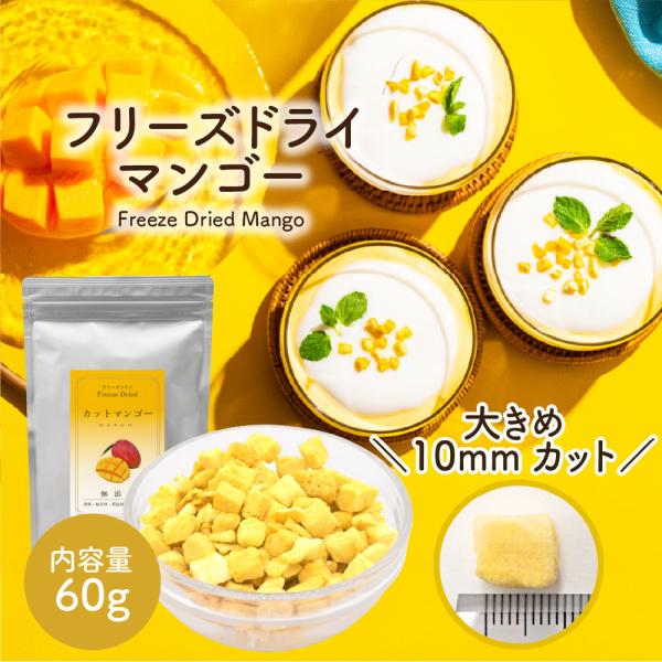 フリーズドライフルーツ フリーズドライ マンゴー 60g ( ダイスカット サイズ:10mm ) フルーツ 果物 トッピング パウティー POWTEA 無添加