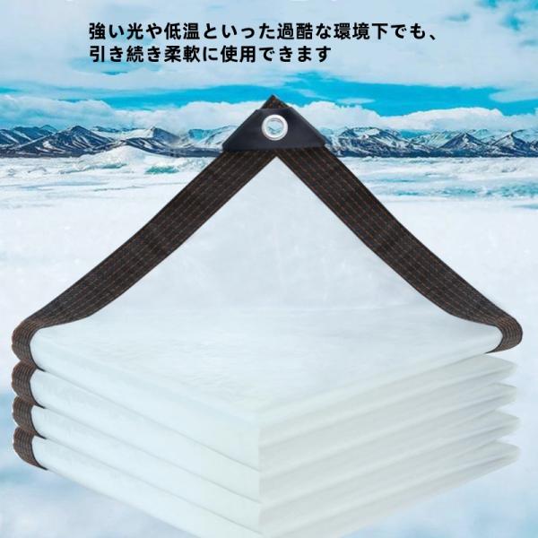 yandhamor_24sd04_2_d_20241127123224