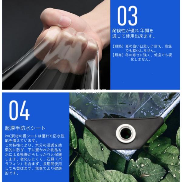 yandhamor_24sd09_3_d_20251014104151