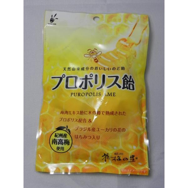 プロポリス飴 のど飴 梅肉エキス入り ５０ｇ Buyee Buyee Japanese Proxy Service Buy From Japan Bot Online
