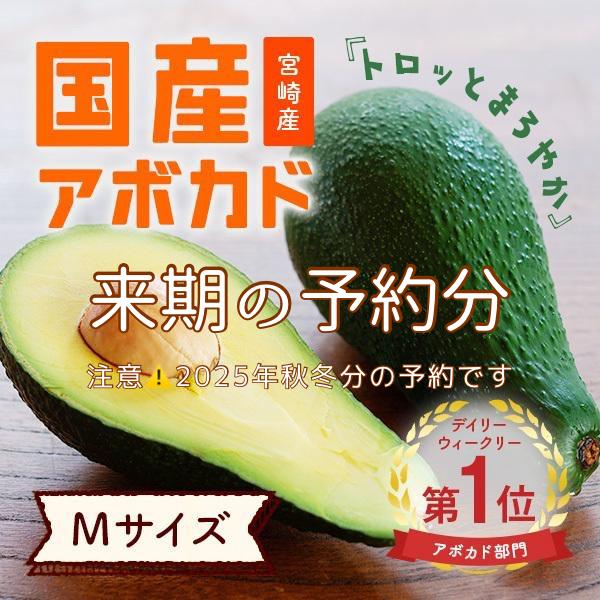2025年秋出荷予定分 受付中】「ひなたプリンセス(国産アボカド 2025年秋出荷予定分 受付中】「ひなたプリンセス(国産アボカド